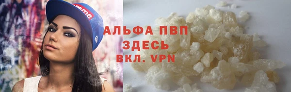 прущие крисы Зеленокумск