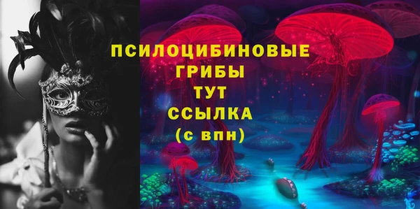 прущие крисы Зеленокумск