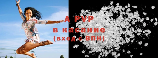прущие крисы Зеленокумск
